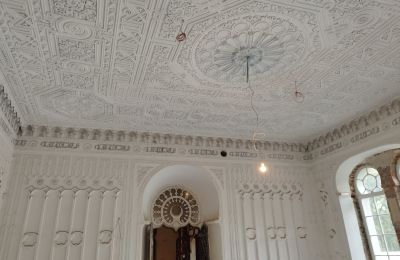 Palácio à venda Osiek, Pałac w Osieku, Malopolskie, Imagem 10/38