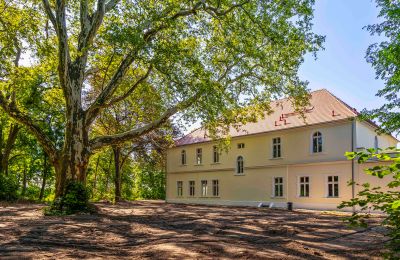 Palácio à venda Środa Śląska, Pałac w Wojczycach, Dolnoslaskie, Imagem 5/23