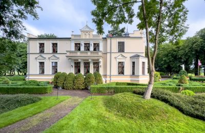 Casa senhorial à venda Kujawsko-pomorskie, Vista traseira