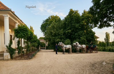Casa senhorial à venda Koplotovce,  kaštieľ, Trnava, upravení dobová foto