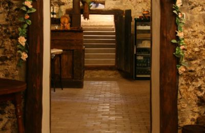 Casa senhorial à venda Trnavský kraj, okres Hlohovec, Koplotovce, Frídeský kaštieľ, Západné Slovensko, Interiér pivnice