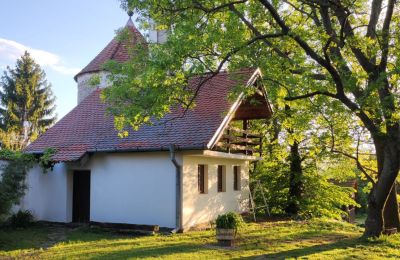 Casa senhorial à venda Trnavský kraj, okres Hlohovec, Koplotovce, Frídeský kaštieľ, Západné Slovensko, Bašta s apartmánom