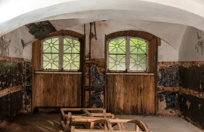 Casa senhorial à venda Virķēni, Virķēnu muiža, Vidzeme, Cave
