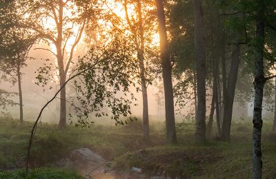 Casa senhorial à venda Virķēni, Virķēnu muiža, Vidzeme, Imagem 19/22