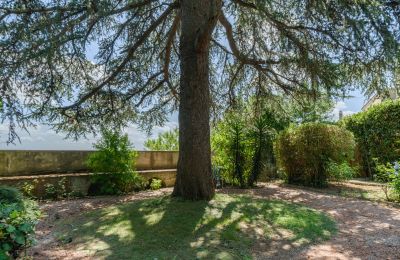 Villa histórica à venda Montecalvoli, Toscana, Imagem 35/44