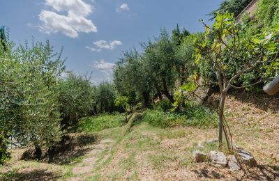 Villa histórica à venda Montecalvoli, Toscana, Imagem 37/44