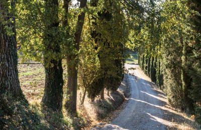Villa histórica à venda Torrenieri, Toscana, Acesso