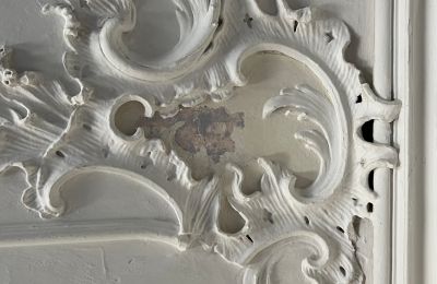 Palácio à venda Baden-Württemberg, Imagem 32/38