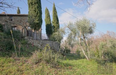 Casa de campo à venda Cortona, Toscana, Imagem 14/35