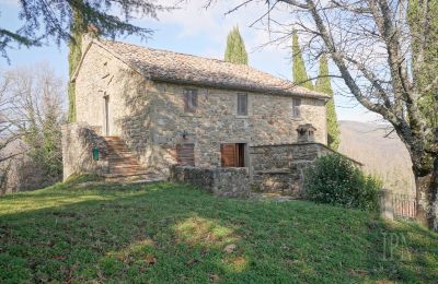 Casa de campo à venda Cortona, Toscana, Imagem 8/35