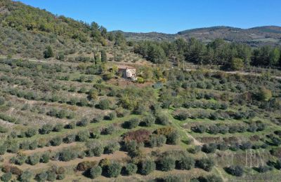Casa de campo à venda 06010 Monte Santa Maria Tiberina, Úmbria, Imagem 5/28