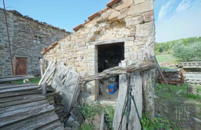 Villa histórica à venda Monterchi, Toscana, Imagem 14/24