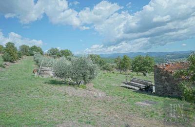 Villa histórica à venda Monterchi, Toscana, Imagem 22/24