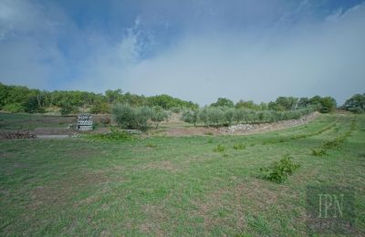 Villa histórica à venda Monterchi, Toscana, Imagem 23/24