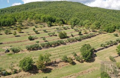 Villa histórica à venda Monterchi, Toscana, Imagem 24/24