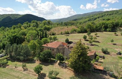 Villa histórica à venda Monterchi, Toscana, Imagem 3/24