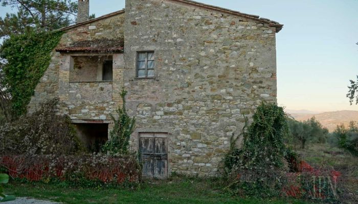  Umbertide 4