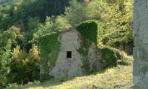  Umbertide 2