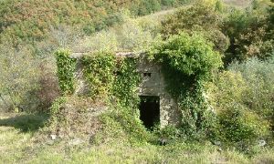  Umbertide 4