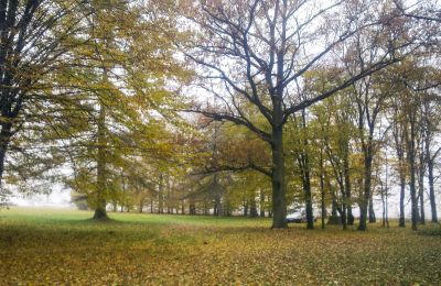 Parque histórico à venda Skorki, Mazowieckie,, Propriedade