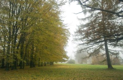 Parque histórico à venda Skorki, Mazowieckie,, Jardim palaciano