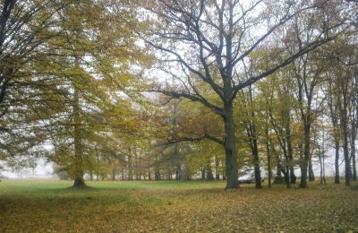 Parque histórico à venda Skorki, Mazowieckie,, Imagem 5/6