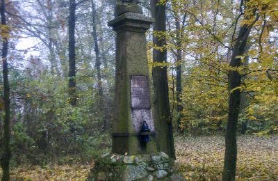 Parque histórico à venda Skorki, Mazowieckie,, Imagem 6/6