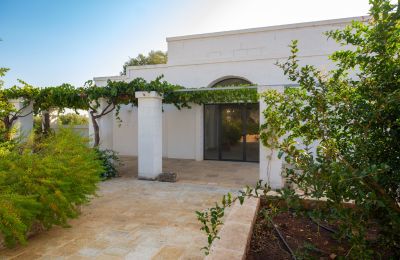 Casa de campo à venda Ostuni, Strada Provinciale 21, Apúlia, Imagem 31/33