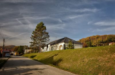 Casa senhorial à venda Trenčiansky kraj, okres Trenčín, Melčice - Lieskové, Melčice, Região de Trenčín, Imagem 9/27