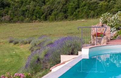 Imóvel histórico à venda Murlo, Toscana, Imagem 36/49