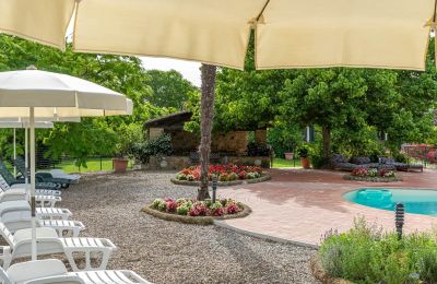 Imóvel histórico à venda Murlo, Toscana, Imagem 47/49