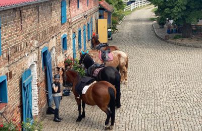 Casa senhorial à venda Krzyż Wielkopolski, Wielkopolskie, Imagem 13/20