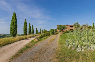 Casa de campo à venda Montalcino, Toscana, Imagem 11/26