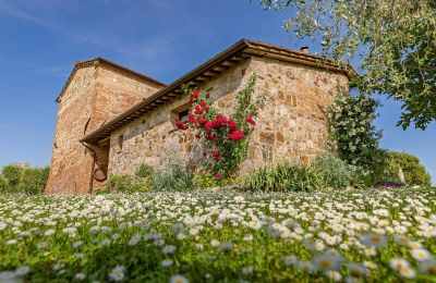Casa de campo à venda Montalcino, Toscana, Imagem 14/26