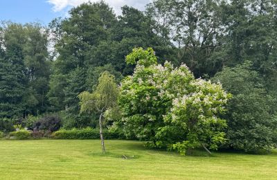 Casa de campo à venda Zachodniopomorskie, Imagem 23/26
