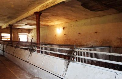 Imóvel histórico à venda 94152 Vornbach, Schauerödstraße 2+4, Baviera, Imagem 11/21