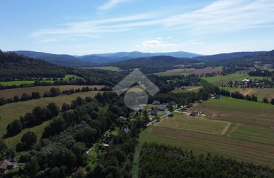 Casa senhorial à venda Radochów, Dolnoslaskie, Imagem 9/10