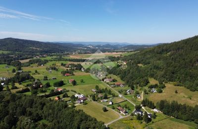Casa senhorial à venda Radochów, Dolnoslaskie, Imagem 10/10