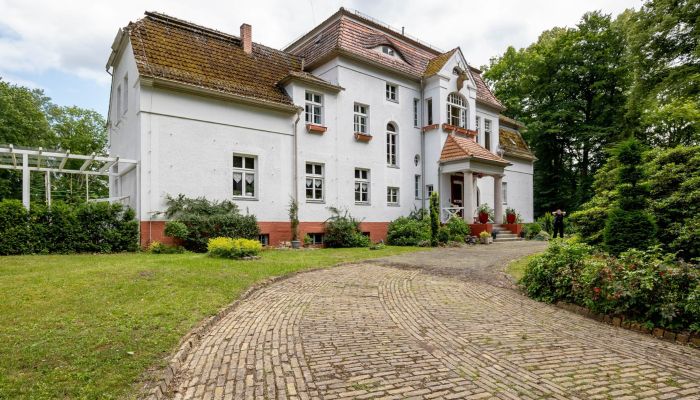  Stechlin 3