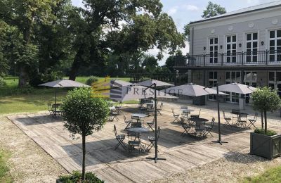 Casa senhorial à venda Ojrzanów, Pałac w Ojrzanowie, Mazowieckie, Imagem 9/18