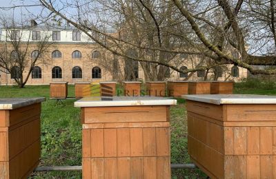 Casa senhorial à venda Ojrzanów, Pałac w Ojrzanowie, Mazowieckie, Imagem 14/18