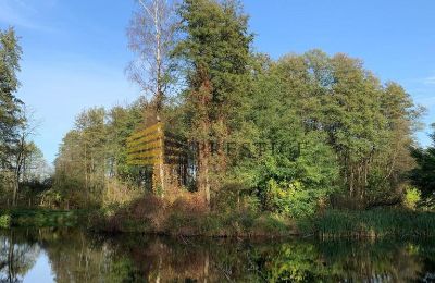 Casa senhorial à venda Ojrzanów, Pałac w Ojrzanowie, Mazowieckie, Jardim palaciano