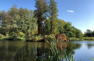 Casa senhorial à venda Ojrzanów, Pałac w Ojrzanowie, Mazowieckie, Jardim palaciano