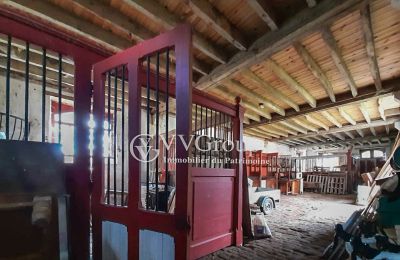 Casa senhorial à venda Le Dorat, Nova Aquitânia, Imagem 13/14
