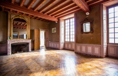 Palácio à venda Thouars, Nova Aquitânia, Imagem 8/16