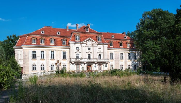 Palácio à venda Roztocznik, Baixa Silésia