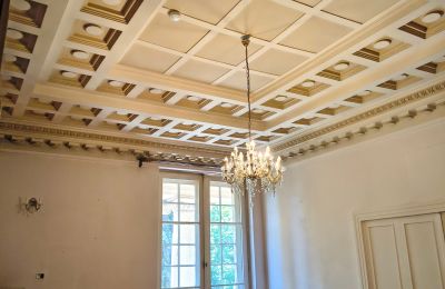 Palácio à venda Łubie, Pyskowicka 34, Slaskie, Imagem 14/20