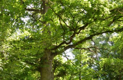 Palácio à venda 96328 Küps, Baviera, Imagem 23/26