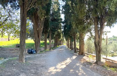 Palácio à venda Castellar del Vallès, Poligono 19 Parcela 12, Catalunha, Imagem 45/50