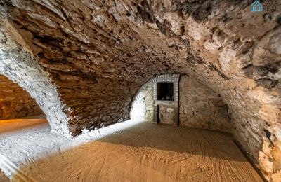 Casa senhorial à venda Rakovec nad Ondavou, Východné Slovensko, Cave